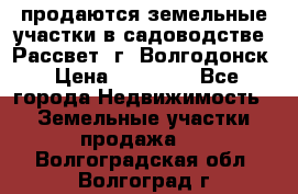 продаются земельные участки в садоводстве “Рассвет“ г. Волгодонск › Цена ­ 80 000 - Все города Недвижимость » Земельные участки продажа   . Волгоградская обл.,Волгоград г.